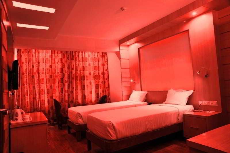 Hotel Emarald, New Delhi Chambre photo